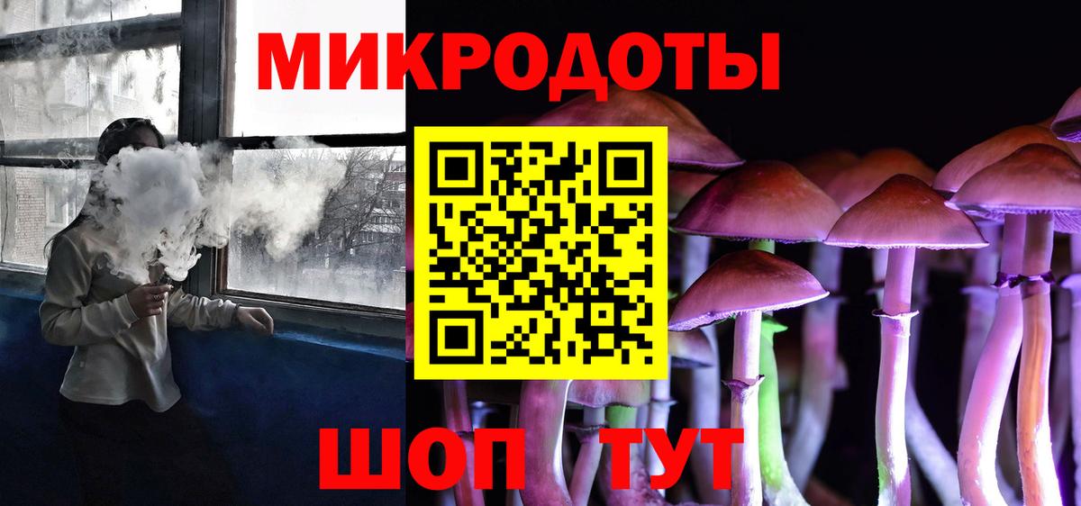Егорьевск  Псилоцибиновые грибы MAGIC MUSHROOMS  Псилоцибиновые грибы Psilocybe  Вход с VPN 