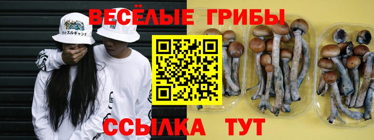 Псилоцибиновые грибы Psilocybine cubensis Егорьевск